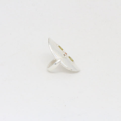 Shield ring #2
