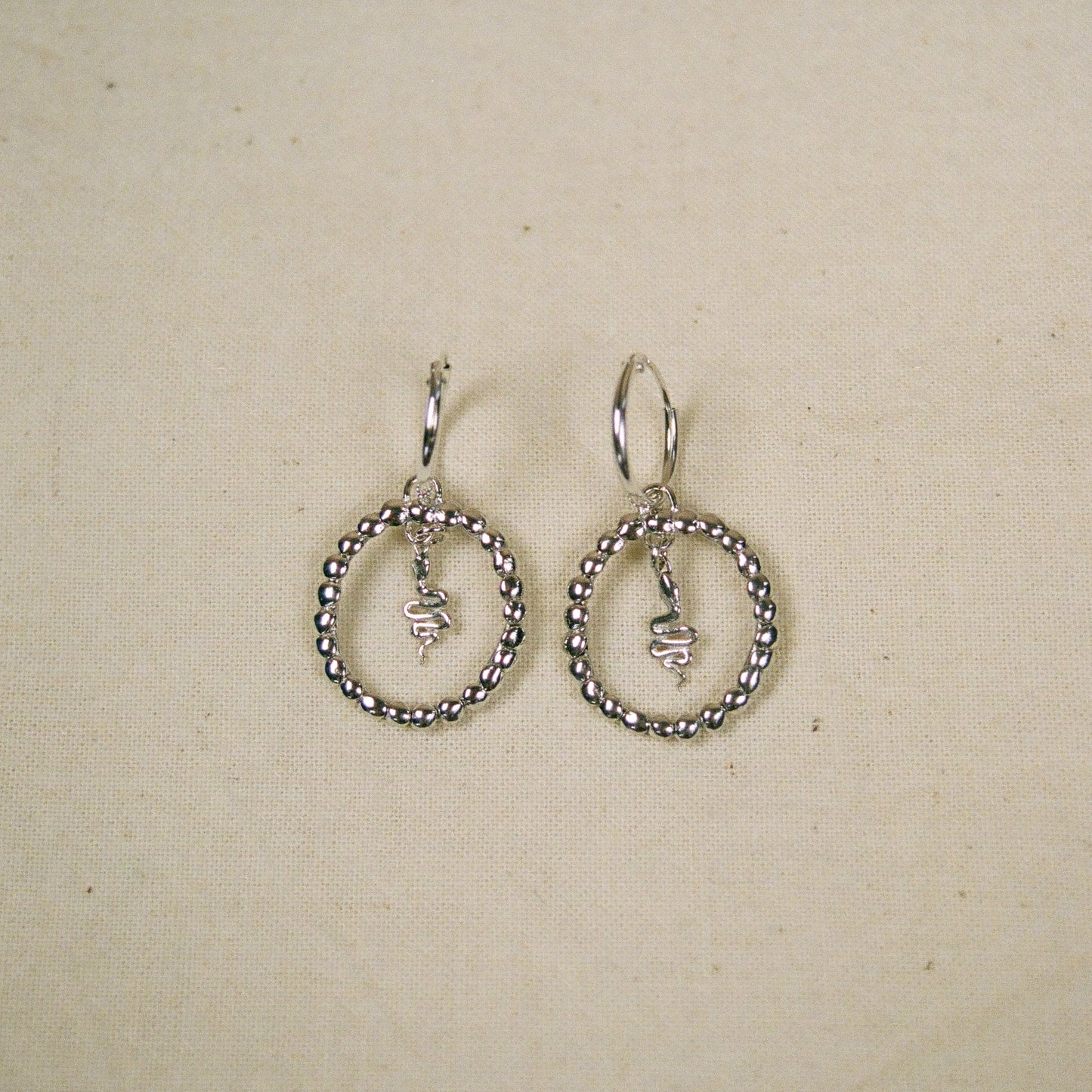 Hoop and Snake earrings