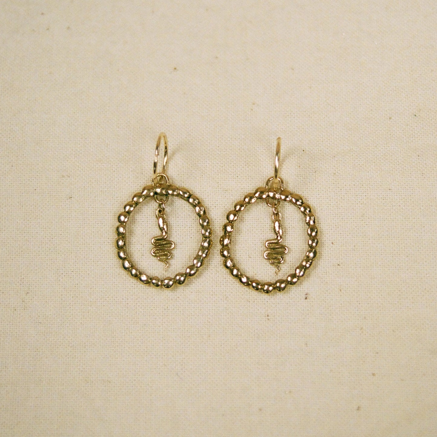 Hoop and Snake earrings