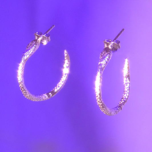 Snake Hoops